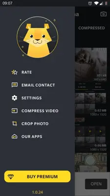 Compress Photo Puma android App screenshot 6